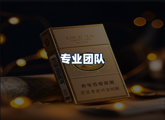 专业团队